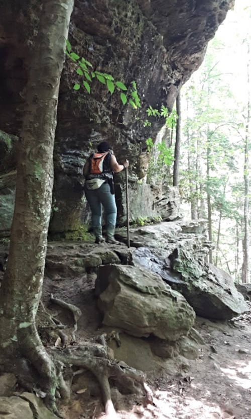 A hiker with a backpack uses a walking stick while navigating a rocky trail under a large overhang in a forest.