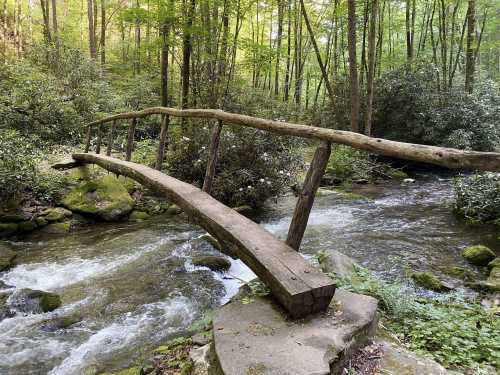 A rustic wooden bridge spans a flowing stream, surrounded by lush green trees and mossy rocks.