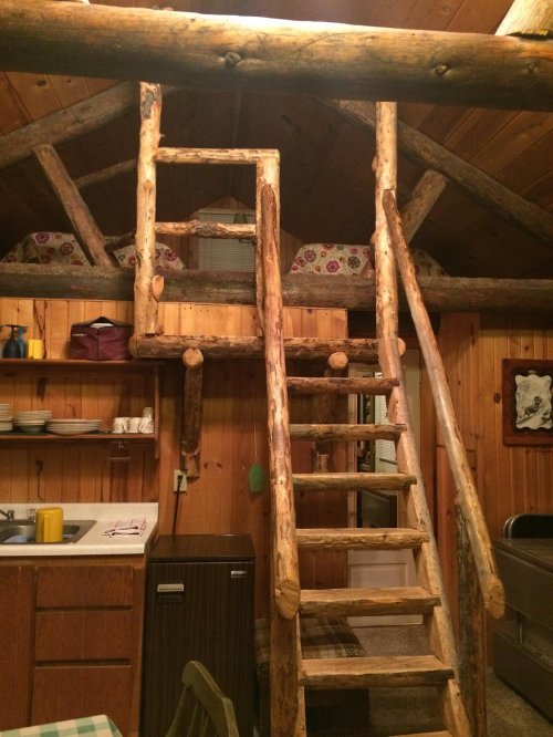 A rustic cabin interior featuring a wooden ladder leading to a loft, with a kitchen area visible below.