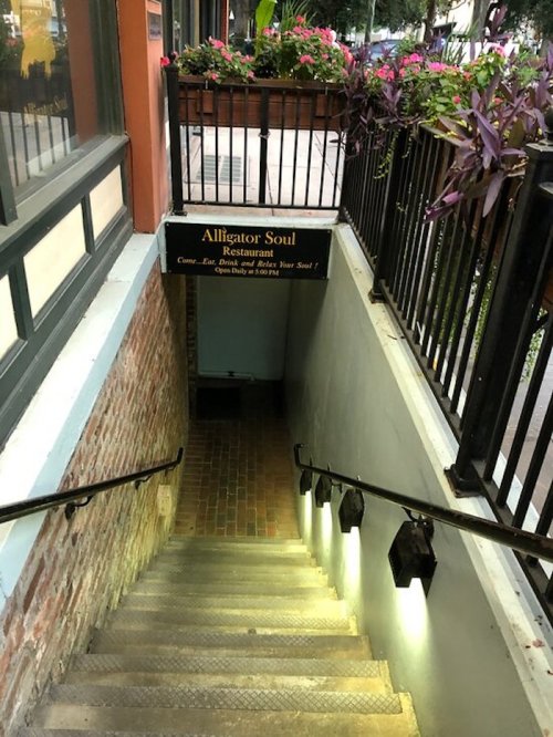 Staircase leading down to Alligator Soul restaurant, flanked by plants and a sign above.