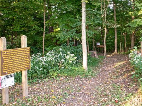 A wooded area with a trail diverging to the right, marked by informational signs and surrounded by greenery.