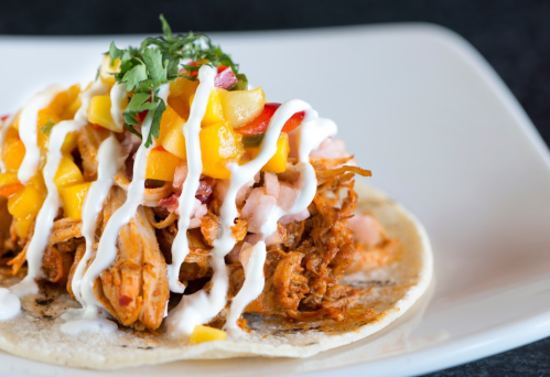 A close-up of a taco filled with shredded chicken, mango, diced vegetables, and drizzled with sour cream.