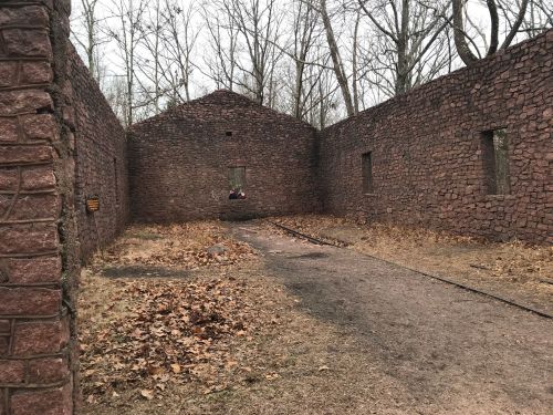 Interior of a stone ruin surrounded by bare trees, with a dirt path and scattered leaves on the ground.