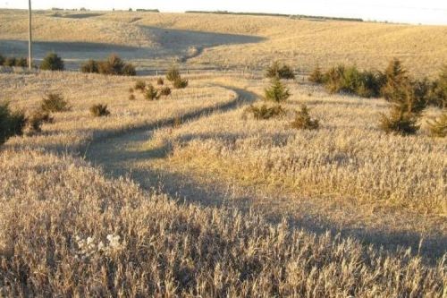 A winding path through dry, golden grasslands with sparse trees under a clear sky.