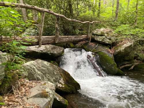 A small wooden bridge over a flowing stream, surrounded by lush greenery and rocky terrain in a forested area.