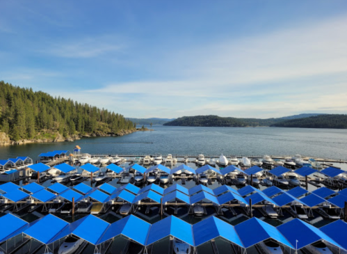 A marina with blue-roofed boat slips on a calm lake, surrounded by green hills and a clear sky.