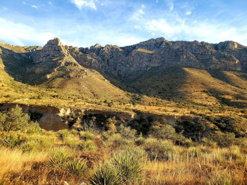 A scenic view of rugged mountains under a blue sky, with golden grass and shrubs in the foreground.