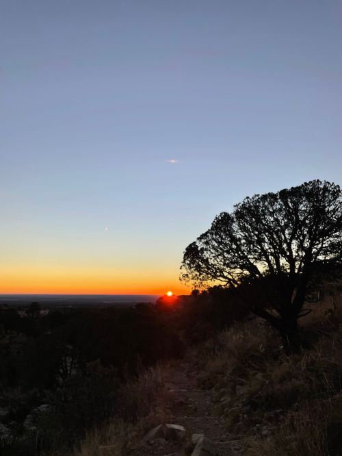 A serene sunset over a landscape, with a silhouette of a tree in the foreground and vibrant orange and blue sky.