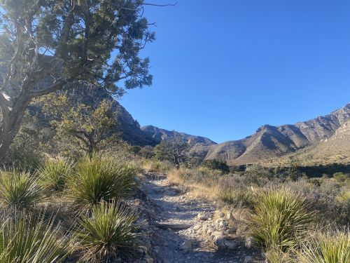 A rocky trail winds through a desert landscape with shrubs and mountains under a clear blue sky.