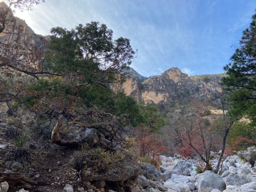 A rocky landscape with trees and mountains under a clear blue sky, showcasing autumn colors in the foliage.