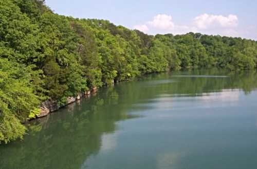 A serene river surrounded by lush green trees under a clear blue sky.