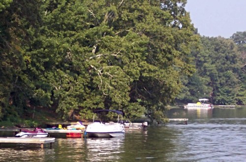 A serene lakeside scene with boats docked along the shore, surrounded by lush green trees.
