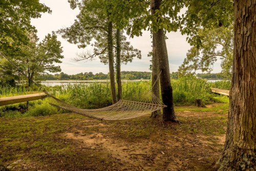 A hammock hangs between trees by a serene lake, surrounded by lush greenery and a calm atmosphere.