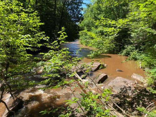 A serene river flows through a lush green forest, with rocks and vibrant foliage lining the banks under a clear blue sky.