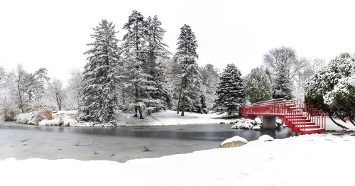 A snowy landscape featuring evergreen trees, a frozen pond, and a bright red bridge.
