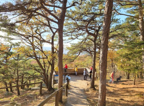 A scenic view of a forest path with people enjoying the outdoors among trees and autumn foliage.