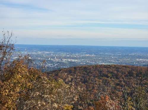 A panoramic view of a cityscape from a mountain, with autumn foliage in the foreground and a clear blue sky.