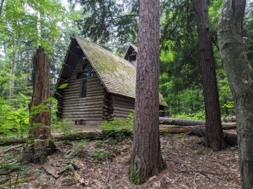 A rustic log cabin nestled among tall trees in a lush green forest.