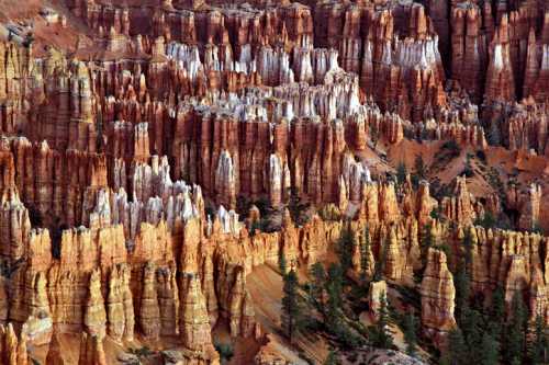 A stunning view of Bryce Canyon's colorful hoodoos and rock formations, surrounded by patches of green trees.