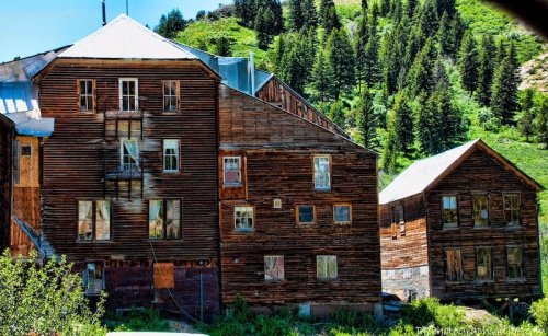 Abandoned wooden buildings surrounded by lush greenery and trees on a hillside.