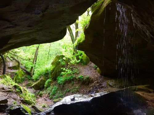 A serene cave entrance with water droplets falling, surrounded by lush green trees and rocky terrain.