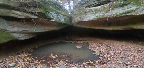 A serene cave with a small pond surrounded by rocky walls and scattered autumn leaves.