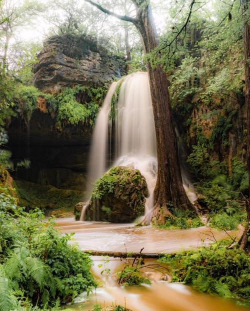 A serene waterfall cascades over rocks, surrounded by lush greenery and trees in a tranquil forest setting.