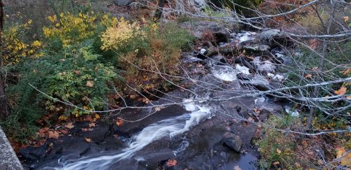 A serene stream flows over rocks, surrounded by autumn foliage and scattered leaves.