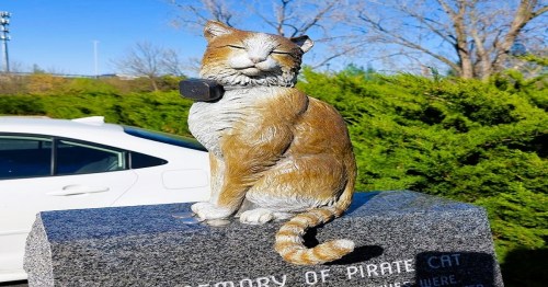 A statue of a cat with a collar, sitting on a stone pedestal surrounded by greenery.