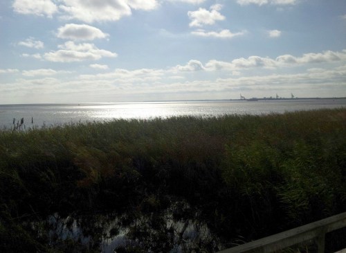 A serene view of a calm waterway with tall grasses in the foreground and a distant industrial skyline under a cloudy sky.