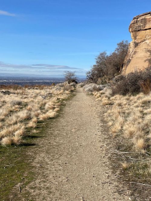 A dirt path winds through grassy terrain, flanked by shrubs and a rocky outcrop under a clear blue sky.