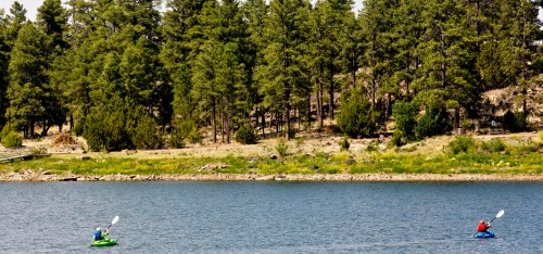 Two kayakers paddle on a calm lake surrounded by lush green trees and a sunny sky.