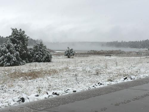 A snowy landscape with trees and a misty background, showcasing a serene winter scene.