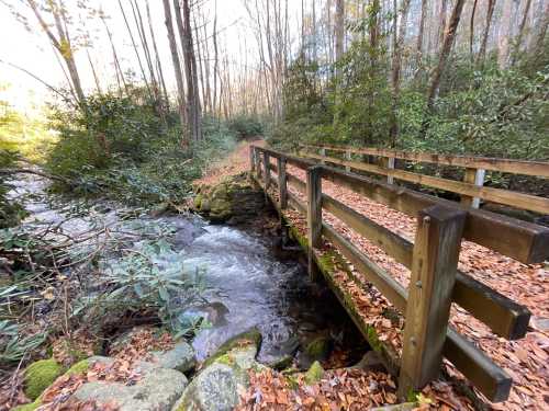 A wooden bridge over a flowing stream, surrounded by trees and autumn leaves.