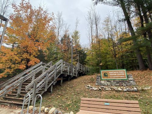 Wooden steps lead up to the Hartwick Pines Visitor Center, surrounded by autumn foliage and a sign.