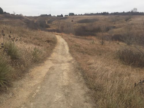 A winding dirt path through a grassy landscape with sparse trees under a cloudy sky.