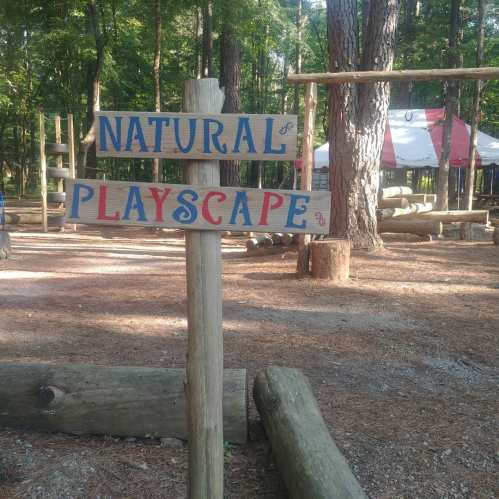 A wooden sign reading "Natural Playscape" in a forested playground area with logs and play structures.