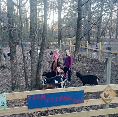 Children interacting with goats at a farm petting zoo, surrounded by trees and a wooden fence.