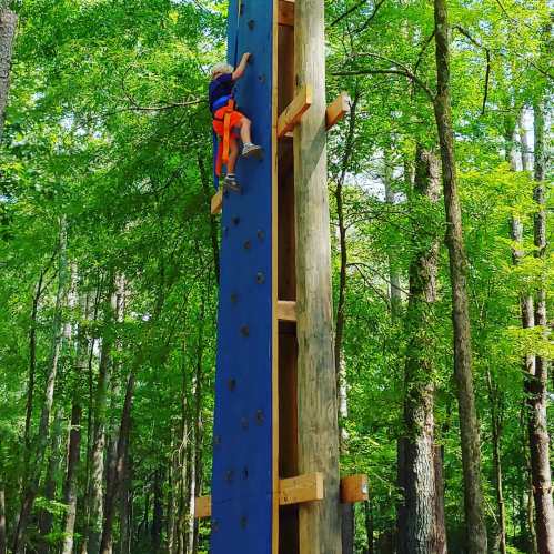 A child climbs a blue rock wall in a forest, surrounded by tall trees and greenery.