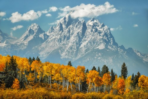 A scenic view of snow-capped mountains behind vibrant autumn trees with golden leaves under a blue sky.