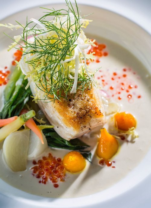 A beautifully plated dish featuring seared fish, vibrant vegetables, and garnished with fresh herbs and sauce.