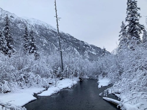 A serene winter landscape featuring a snow-covered river surrounded by trees and mountains under a gray sky.