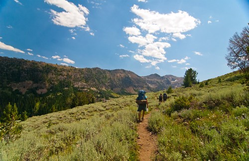 Hikers walking on a trail through a grassy landscape with mountains and blue sky in the background.