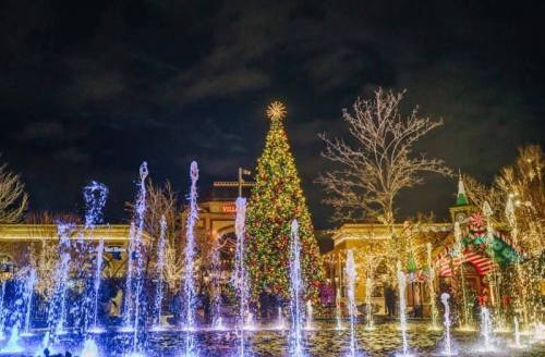 A festive scene featuring a large Christmas tree and colorful fountains illuminated at night.