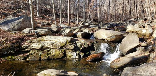 A serene stream flows over rocks in a wooded area, surrounded by bare trees and a peaceful natural landscape.
