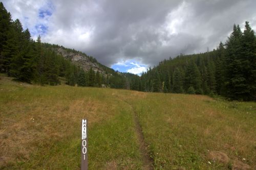 A grassy trail leads into a forested area under a cloudy sky, marked by a sign labeled "HALL 001."