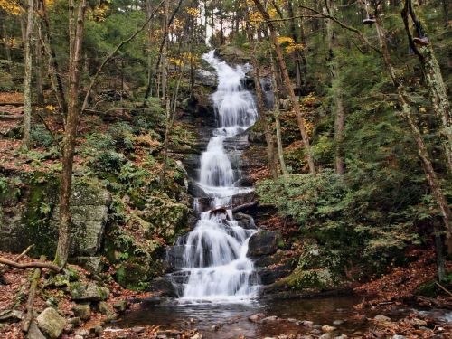 A serene waterfall cascades down rocky steps, surrounded by lush greenery and autumn leaves in a tranquil forest setting.