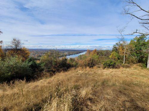 A scenic view of a river winding through a landscape of trees and grass under a partly cloudy sky.