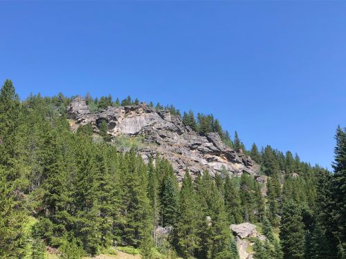 A rocky hillside covered with dense green trees under a clear blue sky.