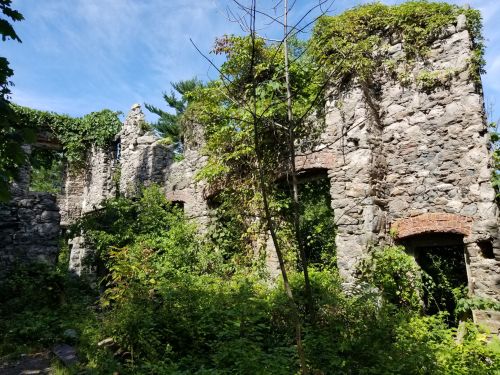 Ruins of a stone building overgrown with greenery, surrounded by trees and blue sky.